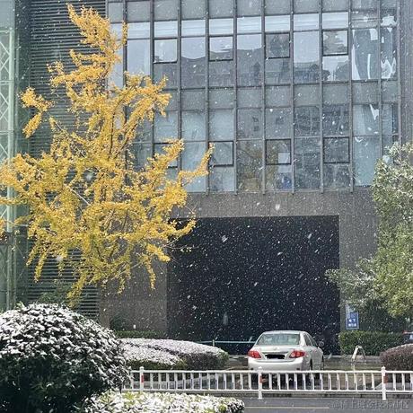 BK0717_拉莫斯于2022-12-01 18:30发布的图片