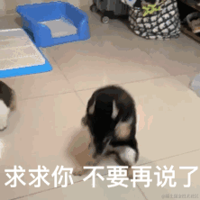 钢子于2024-05-27 09:10发布的图片