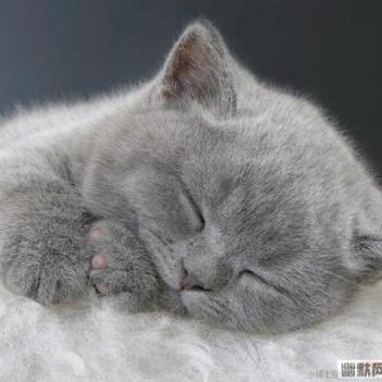 远航_于2021-05-19 12:41发布的图片