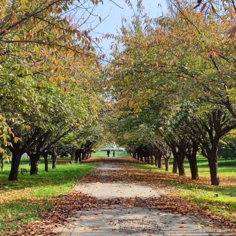 奈俞于2022-11-10 21:36发布的图片