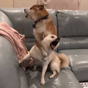 vadon于2022-12-14 16:43发布的图片