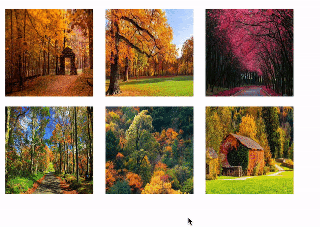 Kapture 2022-12-13 at 09.37.17.gif