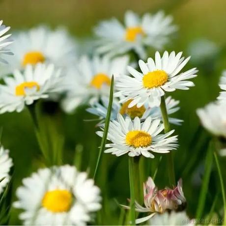 Sarah_于2023-12-22 10:20发布的图片