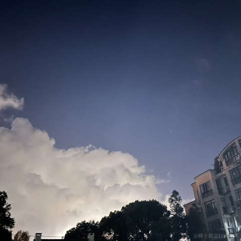 老汤姆于2021-07-20 22:49发布的图片
