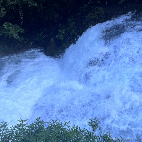草莓酱于2023-08-17 11:21发布的图片