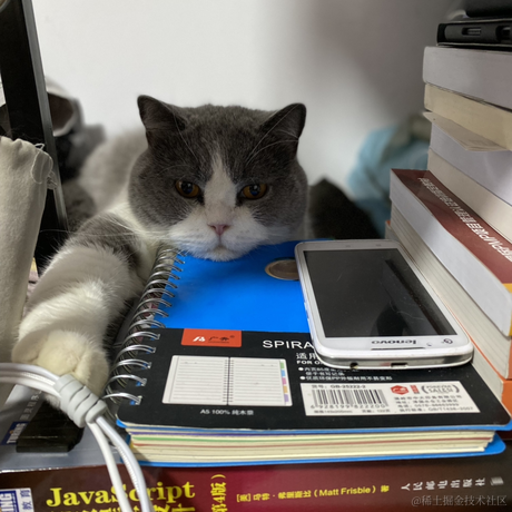 小鑫同学于2022-07-18 21:47发布的图片