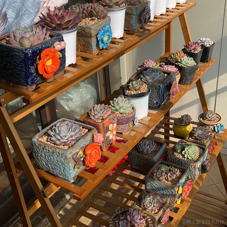 徐小厨于2022-12-21 09:46发布的图片