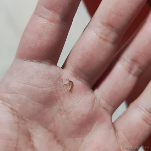 优秀稳妥的金枪小魔王于2023-06-06 09:34发布的图片