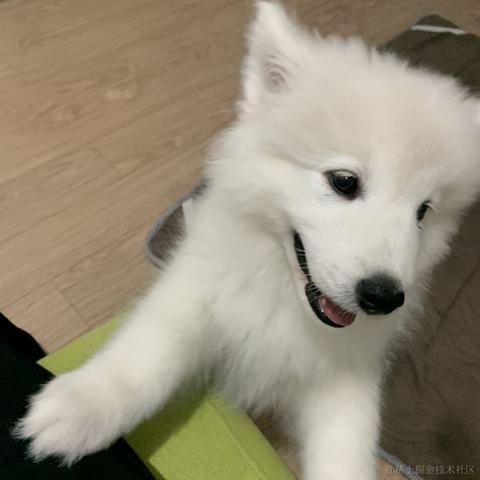 苏煜于2023-08-02 15:07发布的图片