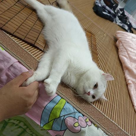 拉跨power于2022-12-01 00:36发布的图片