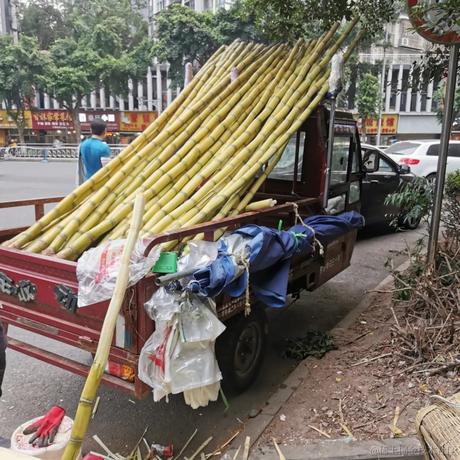 乃宝老婆于2022-11-28 18:15发布的图片