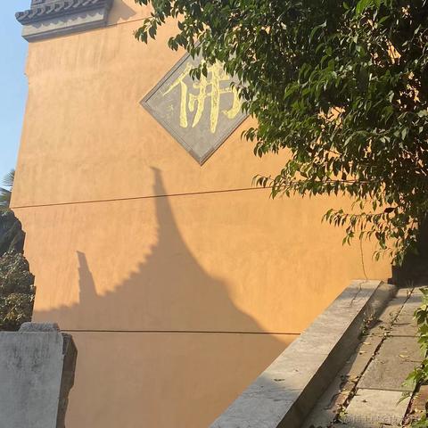 今天也要早睡于2023-02-17 14:19发布的图片
