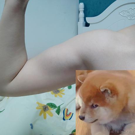 可乐真好吃于2021-12-05 21:46发布的图片