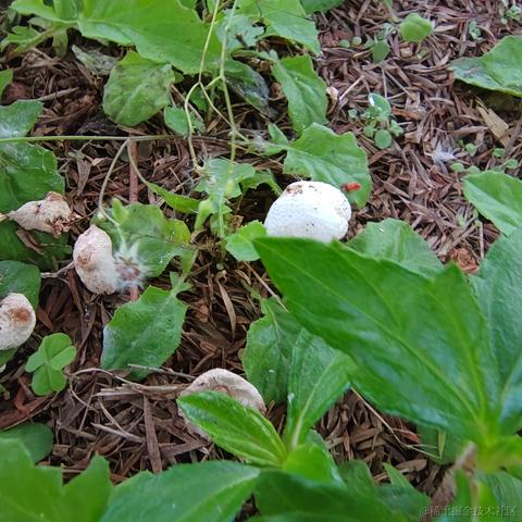 Uwiling于2022-12-01 21:16发布的图片