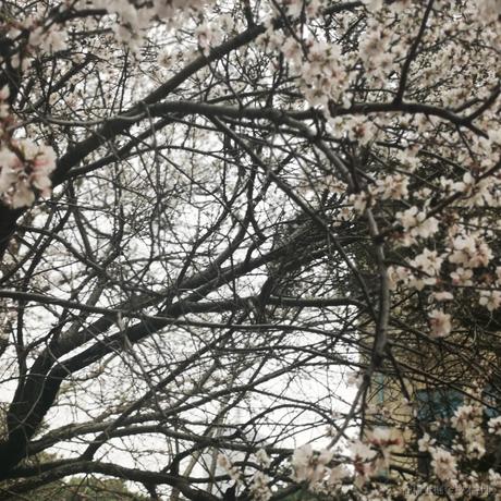 上条势力守门人于2022-04-19 16:35发布的图片