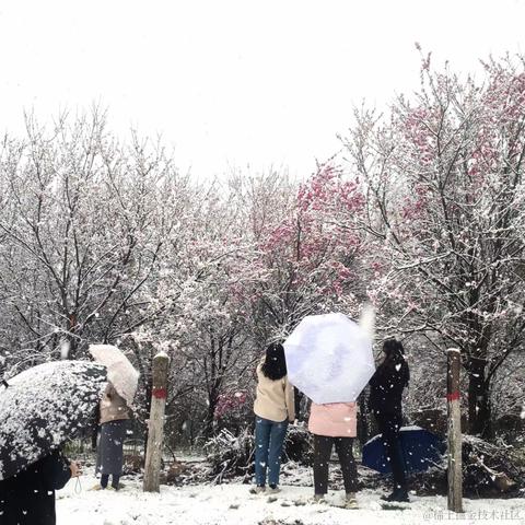 道友请留步_于2023-03-16 15:36发布的图片