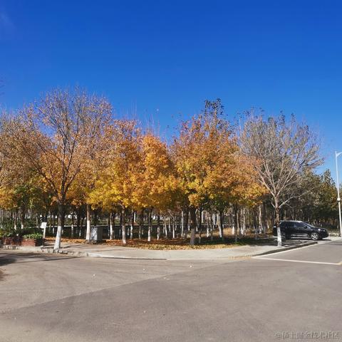 好大的雨于2021-11-29 20:45发布的图片