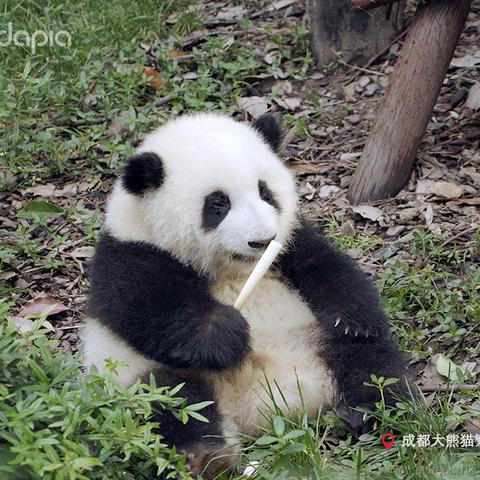 秉烛夜游于2021-09-30 09:06发布的图片