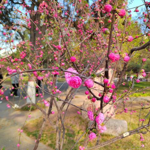 taoye于2023-04-10 22:15发布的图片