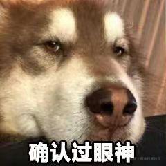 flutter小白的学习之路
