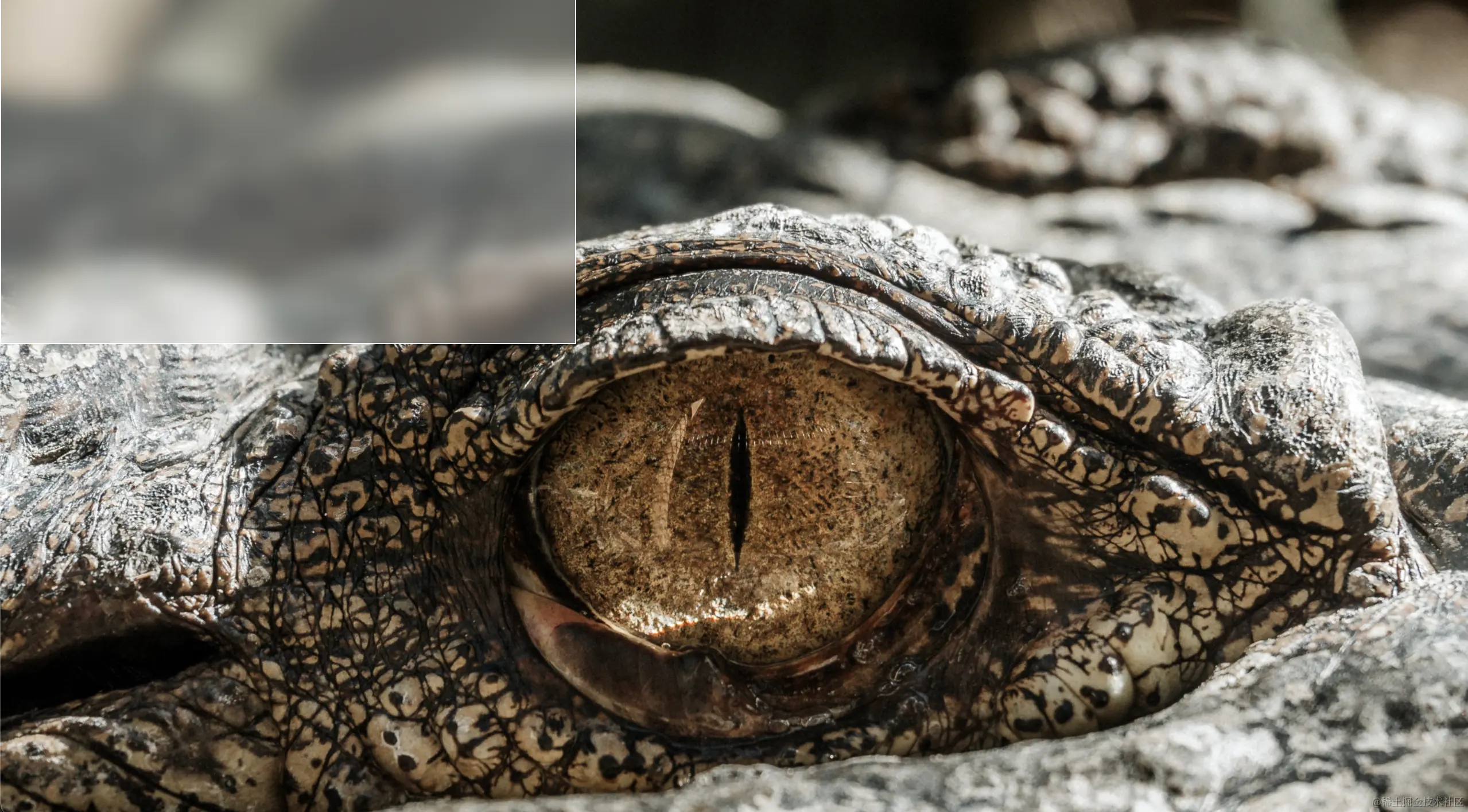 截屏2021-07-02 下午4.33.52.png