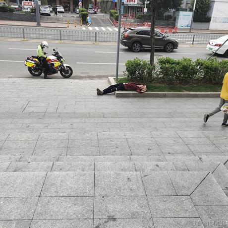 尼古拉斯雅蠛蝶于2021-05-04 10:05发布的图片