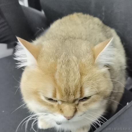 抱着抱枕哭晕在厕所于2021-09-05 01:40发布的图片