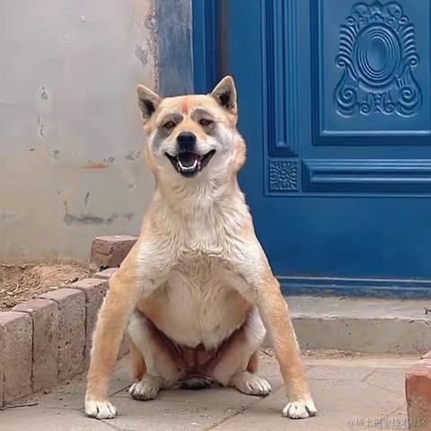 只想躺平不想努力于2024-05-11 16:17发布的图片