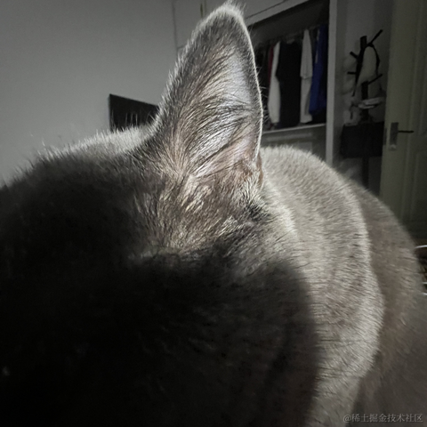 bellaQAQ于2023-06-29 09:58发布的图片