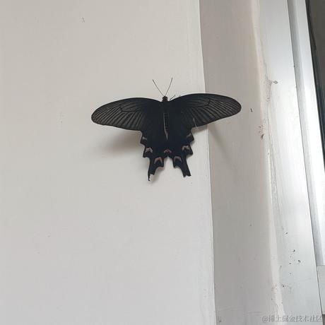 音速小向晚于2022-11-23 02:59发布的图片