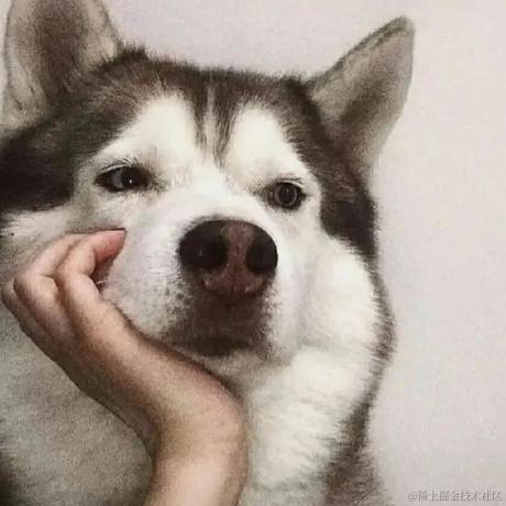 树洞robot于2023-01-23 21:15发布的图片