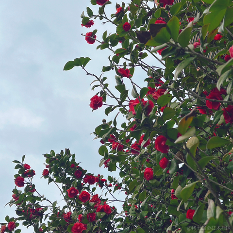 快乐的海绵宝宝于2023-03-20 13:12发布的图片