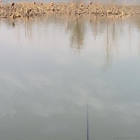 向晚没得吃于2022-12-11 15:49发布的图片