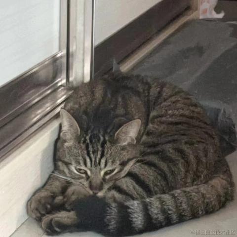 知_足于2024-05-27 10:20发布的图片