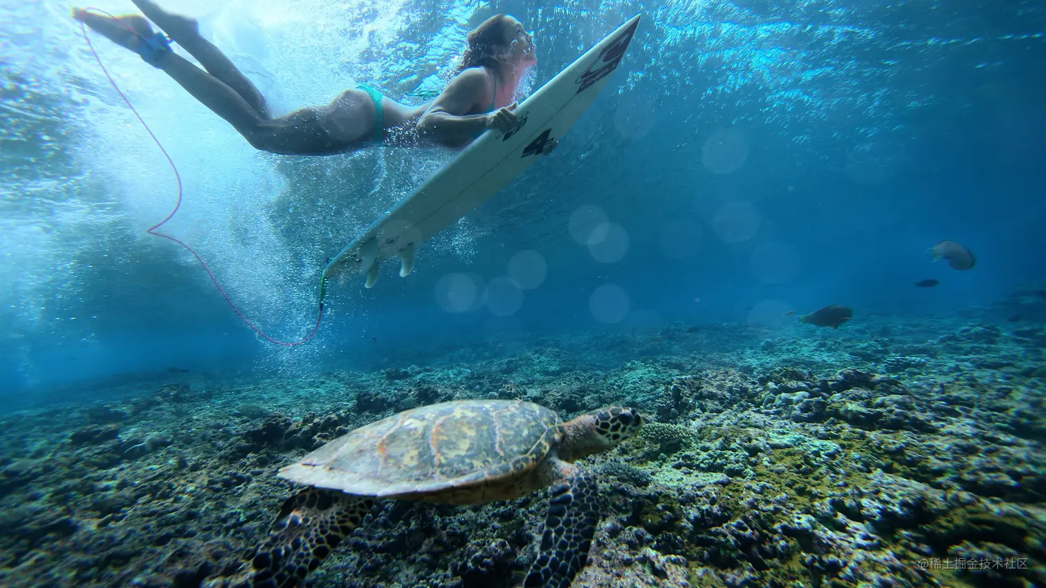 surfing-3840x2160-girl-sea-underwater-500.jpg