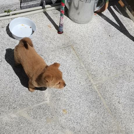 寺山丽子于2022-11-13 11:25发布的图片