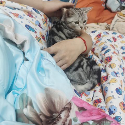 一只辣条于2022-10-11 13:16发布的图片