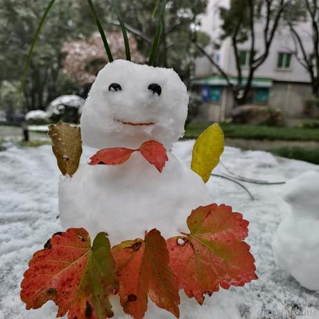 好无语呱呱于2022-12-02 19:12发布的图片