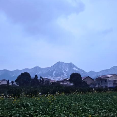 夜ark于2023-01-18 11:07发布的图片