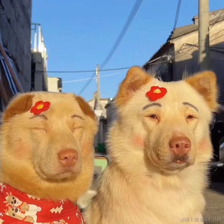 一依不舍于2023-05-19 17:44发布的图片