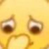 共婵娟于2022-11-23 15:59发布的图片