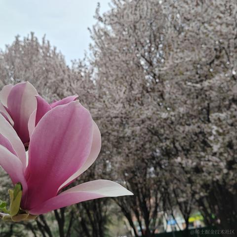 从0开始的go世界于2023-04-16 21:36发布的图片