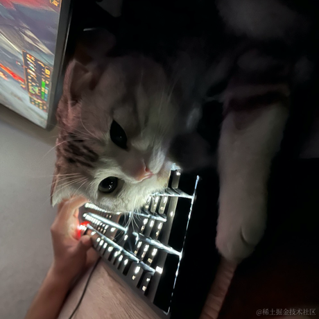 lin嘟嘟嘟于2022-01-24 16:45发布的图片