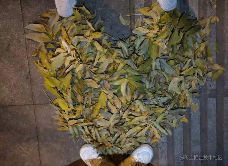 Pasted Graphic 2.jpg