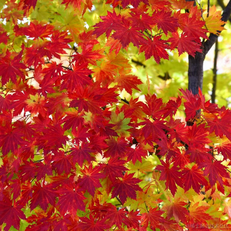 小旧_于2022-11-30 21:31发布的图片