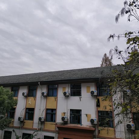 地衣君于2022-12-13 15:11发布的图片