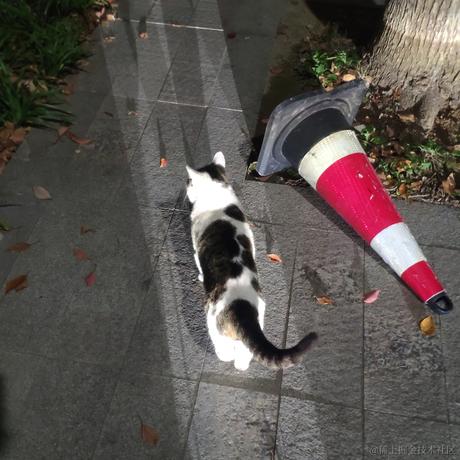 琳子加碗饭于2022-11-13 16:31发布的图片