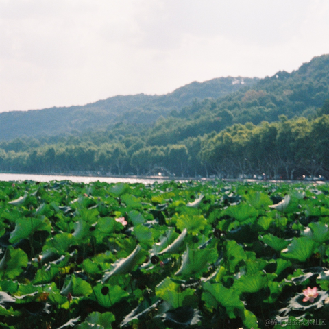 紫菜捏于2022-11-16 09:52发布的图片