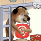 面包真好喝于2022-11-23 07:02发布的图片